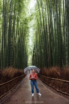 a woman holding an umbrella standing in the middle of a bamboo forest