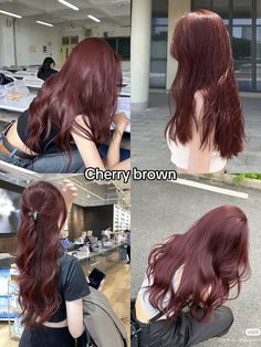 Dyes Hair Ideas, Hair Color Ideas For Tan Skin, Hair Color Ideas For Pale Skin, Cherry Brown Hair, Hair Color Swatches, Cherry Red Hair, Korean Hair Color, Wine Hair, Red Hair Inspo