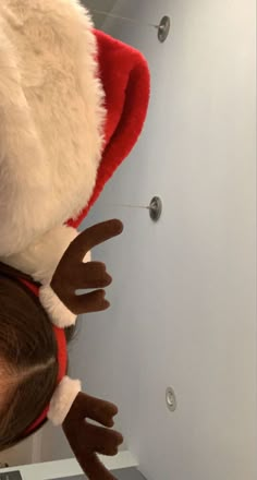 a person wearing a santa hat and reindeer hair