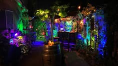 an outdoor area with plants and lights at night