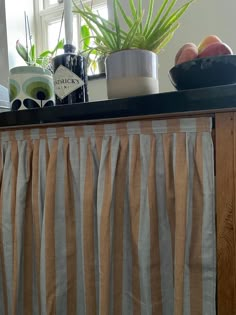 a kitchen counter with a potted plant on top of it next to a window