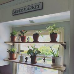 several potted plants are sitting on shelves in front of a window with the words super market above them