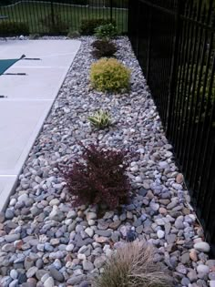 a garden with rocks and plants next to a fence