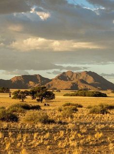 an open plain with mountains in the background and grass on the ground, under a cloudy sky