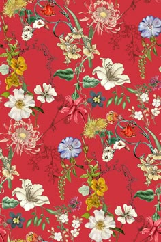 a red background with many different flowers on it