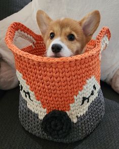 a small dog is sitting in a knitted basket