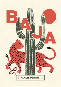 a red and green illustration of a cheetah next to a sagua cactus