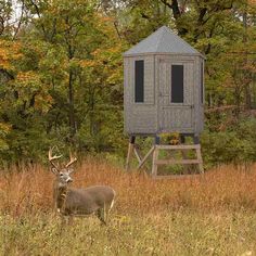 a deer is standing in the grass near a tree house