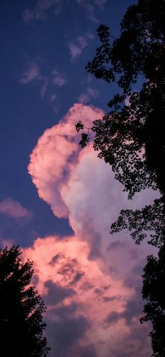 the sky is pink and blue with clouds