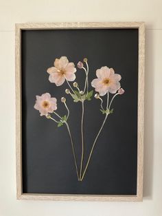 three pink flowers in a wooden frame on a white wall next to a black background