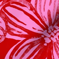 a red and white flower on a pink background