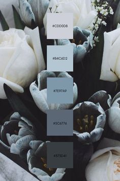 white and gray flowers with the same color scheme