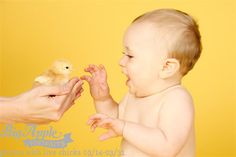 a baby is being held by someone's hand with a small bird on it