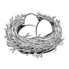 black and white bird nest with two eggs in it stock photo - 957982