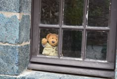 a teddy bear in a trench coat looking through a window