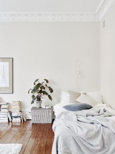 a bedroom with white walls and wood flooring has a plant in the corner on the bed