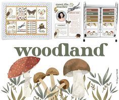 an illustrated book with illustrations of mushrooms and other things in the pages, including information about woodland