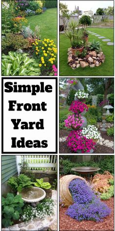 several different types of flowers and plants in the garden with text overlay that reads simple front yard ideas