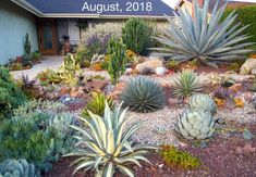 an assortment of cactus and succulents in front of a building with the words august, 2018 written on it