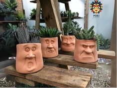 four planters with faces on them sitting on a wooden bench in front of succulents