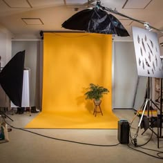 a photo studio with yellow backdrops and lighting equipment in the foreground is a potted plant