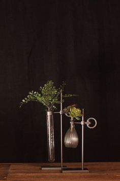 two vases with plants in them sitting on a wooden table next to a black wall