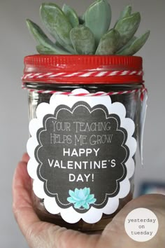 a person holding up a jar with a plant in it that says, your teaching helps me grow happy valentine's day