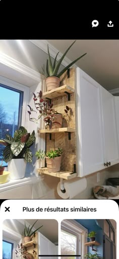 some plants are hanging on the side of a wall in a room with white cabinets