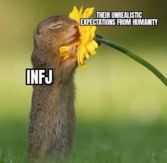 Infj Relatable, Infj Meme, Infj Vibes, Infj Core, Infj And Entp, Infj Humor, Infj Psychology, Infj Things, Infj Type