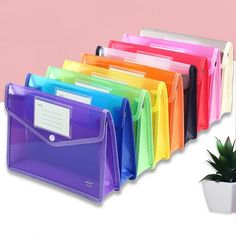 a bunch of folders that are next to a potted plant