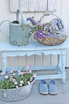 blue flowers are in buckets and on the ground, next to a bench with shoes