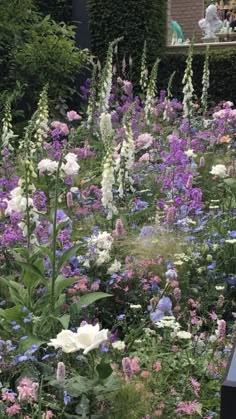 a garden filled with lots of purple and white flowers