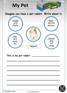 an animal worksheet for kids with pictures on it