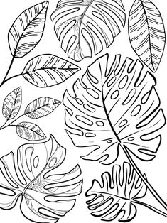 a black and white drawing of leaves