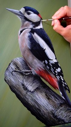 a painting of a bird sitting on top of a piece of wood next to a person's hand