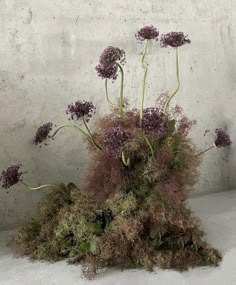 an arrangement of purple flowers and moss on a white tablecloth against a concrete wall