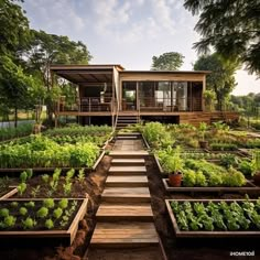 an outdoor garden with many plants and steps leading up to the house