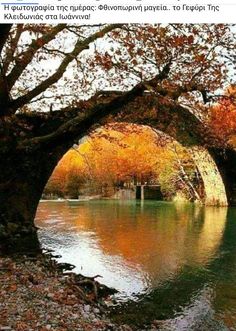 an arched bridge over a body of water surrounded by fall colored trees in the background