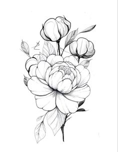 Mandala Peony Tattoo Design, Peony Tattoo Stencil Outline, Peony Sketch Tattoo, Peony Tattoo Outline, Peony Tattoo Stencil, Peony Flower Outline, Peony Tattoo Design, Tattoo Espalda, Dark Skin Tattoo