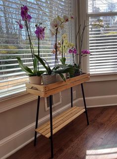 two potted orchids sit on a wooden table in front of a window with blinds