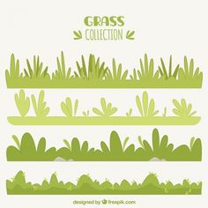 grass collection in flat design style