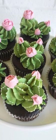 cupcakes decorated with green and pink flowers on a white plate