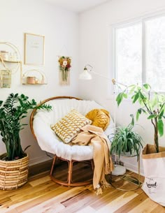 a living room with plants and a white chair in the corner next to a window