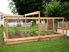 a fenced in garden area with various plants