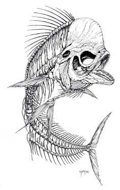 a drawing of a fish skeleton with its mouth open