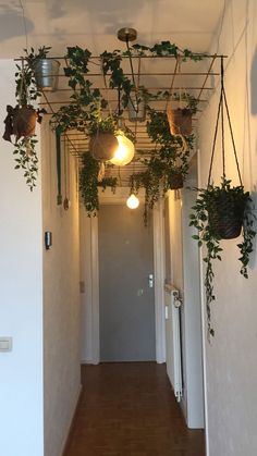 a long hallway with plants hanging from the ceiling and lights on either side of it