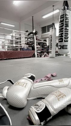 a pair of boxing gloves laying on the ground