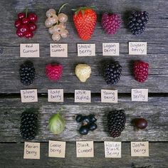 an assortment of fruits and vegetables displayed on wooden boards with labels for each individual item