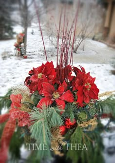 a vase filled with red flowers sitting on top of a snow covered ground