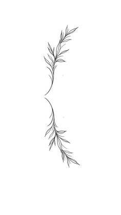 a black and white drawing of a branch